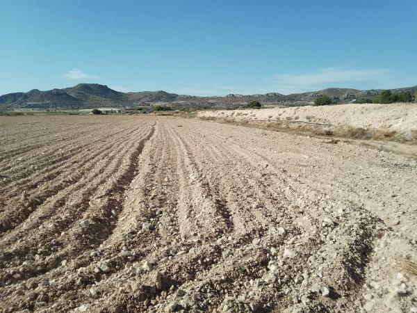 Terreno en Novelda