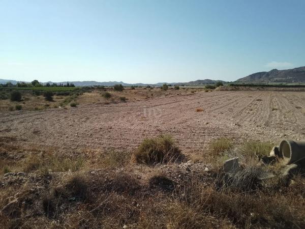 Terreno en Novelda