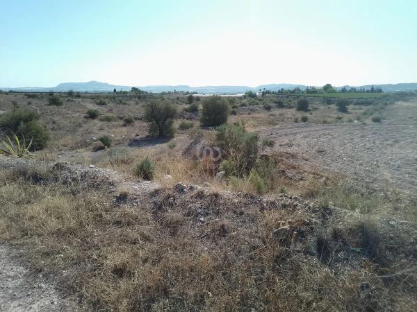 Terreno en Novelda