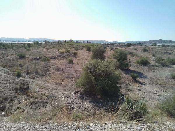 Terreno en Novelda