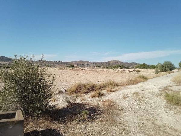 Terreno en Novelda