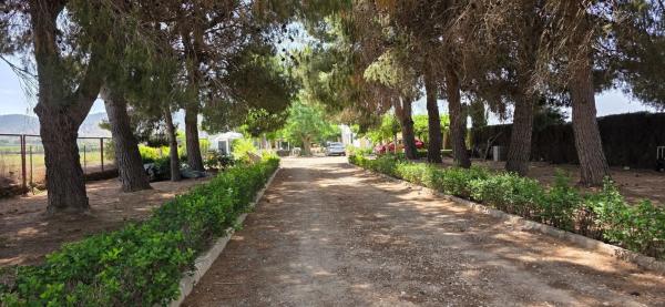 Masía en partida cascante, 31