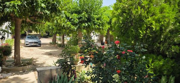 Masía en partida cascante, 31