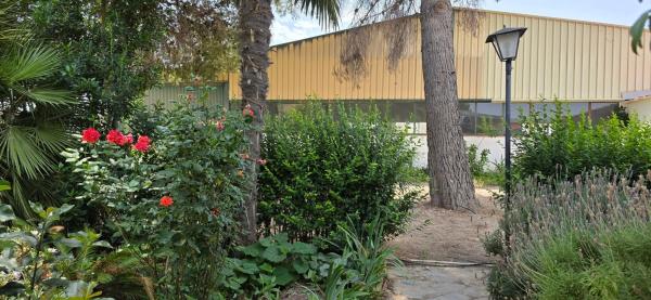 Masía en partida cascante, 31