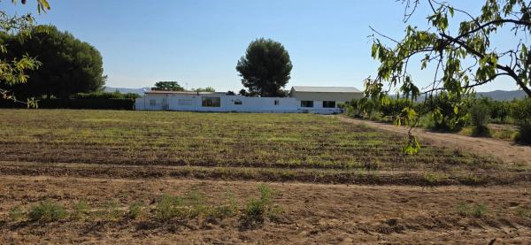 Masía en partida cascante, 31