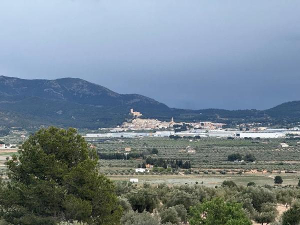 Finca rústica en Partida La Solana
