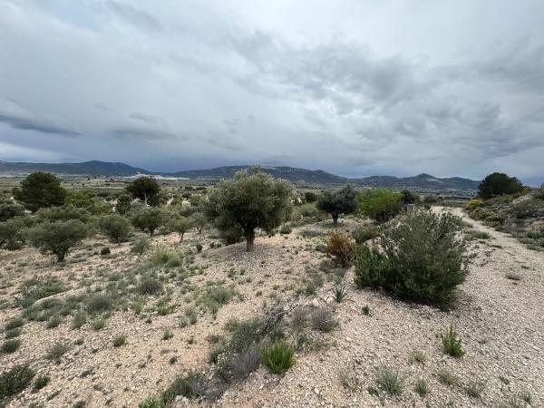 Finca rústica en Partida La Solana