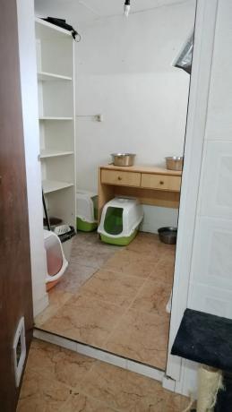 Casa independiente en partida canal de confite, 78