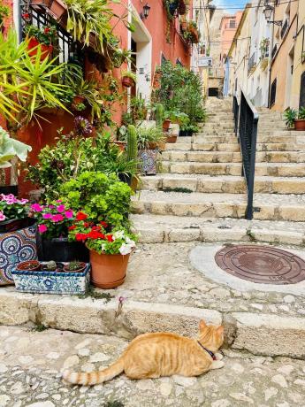 Casa rural en calle Sant Roc, 15