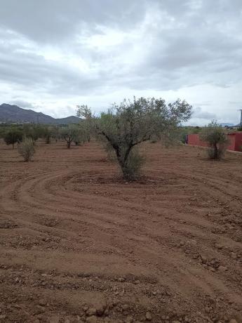 Casa independiente en Paraje las Beatas, 4
