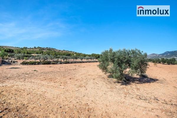 Casa independiente en Polígono Polígono Cabezo Gordo