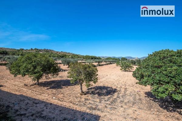 Casa independiente en Polígono Polígono Cabezo Gordo