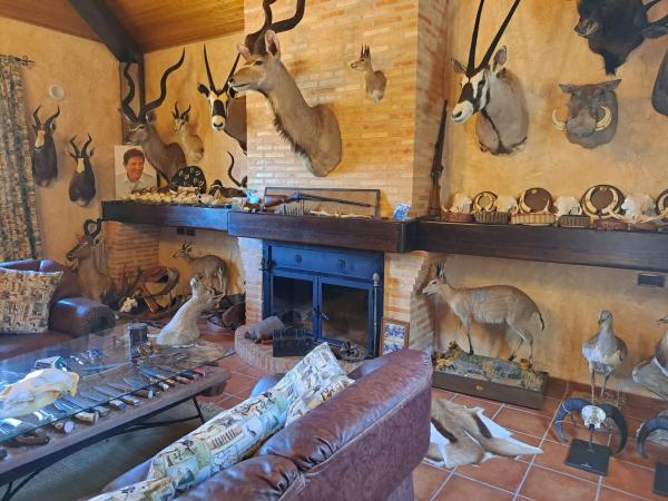 Casa independiente en avenida Juan Carlos I