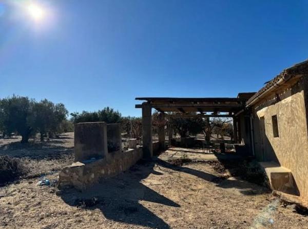 Finca rústica en carretera biar campo de mirra
