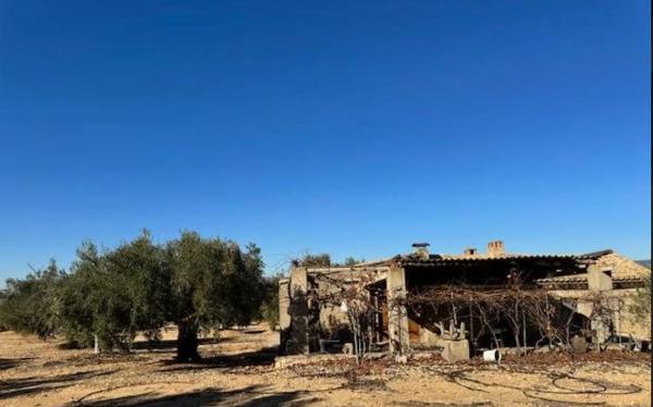 Finca rústica en carretera biar campo de mirra