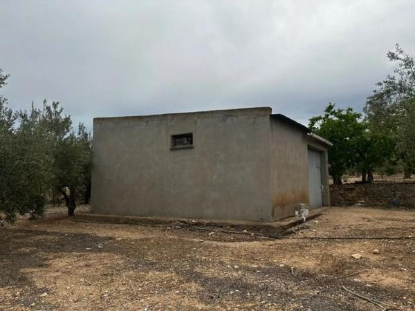 Finca rústica en carretera biar campo de mirra