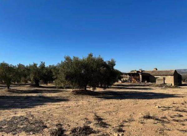 Finca rústica en carretera biar campo de mirra