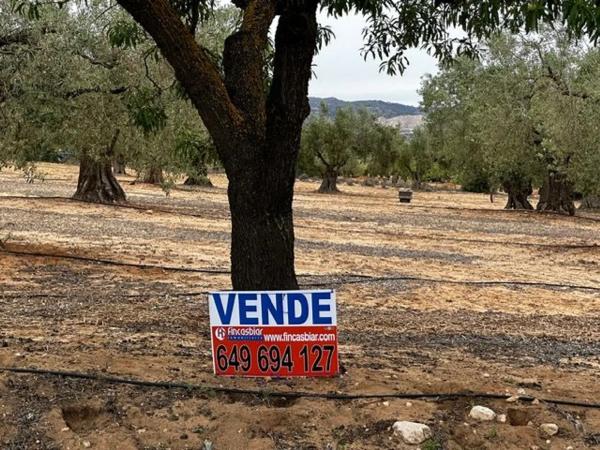 Finca rústica en carretera biar campo de mirra