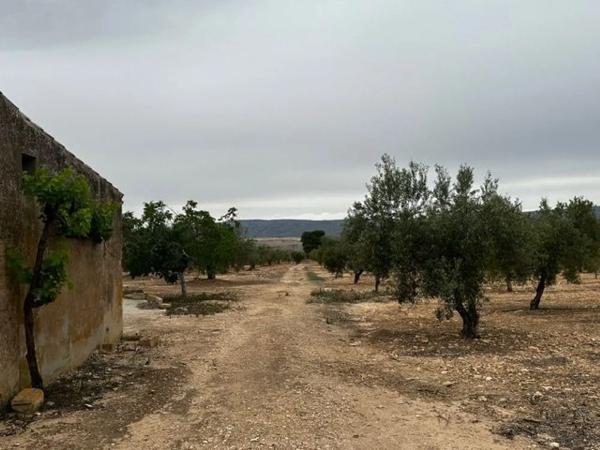 Finca rústica en carretera biar campo de mirra