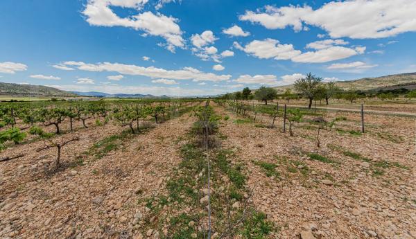 Finca rústica en ds solana, 11