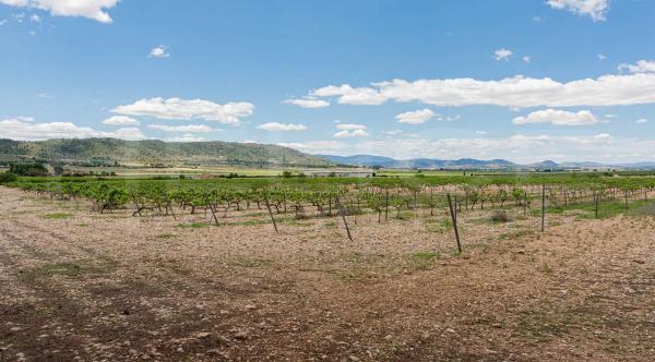 Finca rústica en ds solana, 11