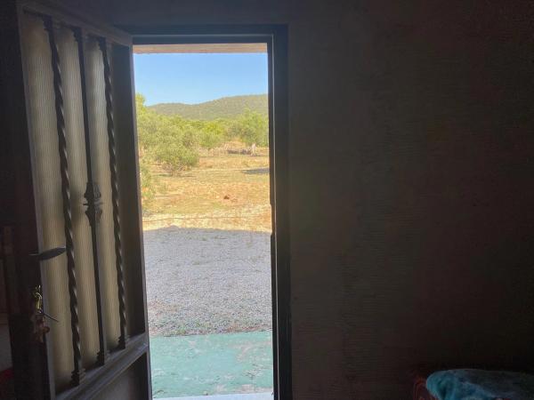 Finca rústica en Borrel