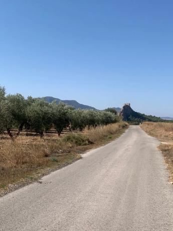 Finca rústica en plaza Poligono 2