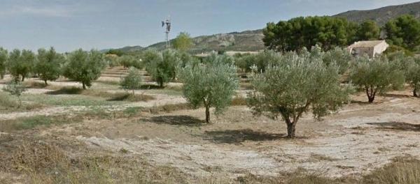 Finca rústica en Cruz de la Cañada