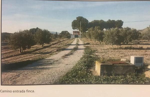 Finca rústica en Cruz de la Cañada