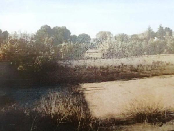 Finca rústica en Cruz de la Cañada