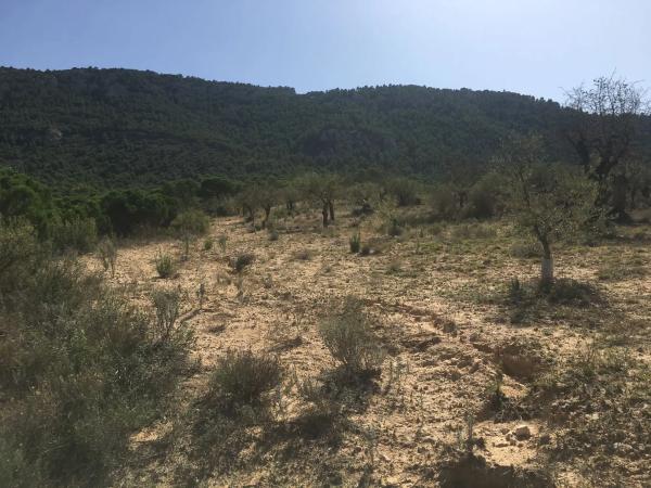 Casa independiente en unnamed road