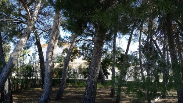 Casa independiente en Casa Solana, 03469 s/n CampodeMirraAlicante