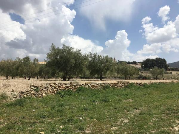 Casa terrera en Carret.de Biar a Cañada