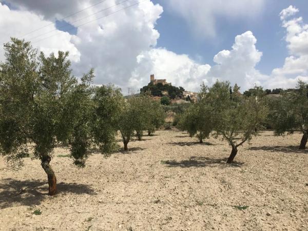 Casa terrera en Carret.de Biar a Cañada