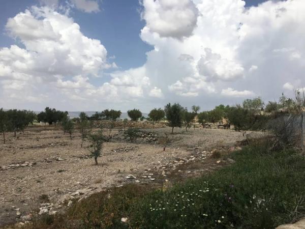 Casa terrera en Carret.de Biar a Cañada