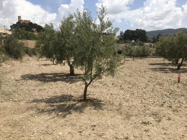 Casa terrera en Carret.de Biar a Cañada