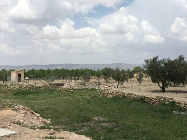 Casa terrera en Carret.de Biar a Cañada