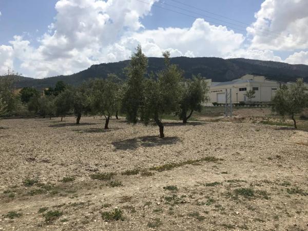 Casa terrera en Carret.de Biar a Cañada