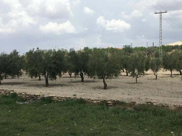 Casa terrera en Carret.de Biar a Cañada