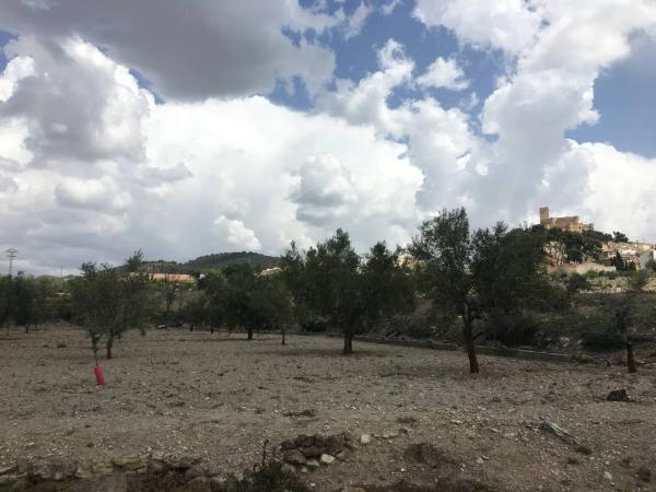 Casa terrera en Carret.de Biar a Cañada