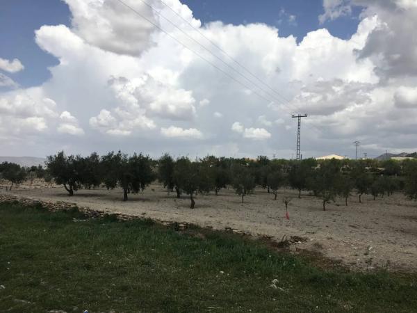 Casa terrera en Carret.de Biar a Cañada