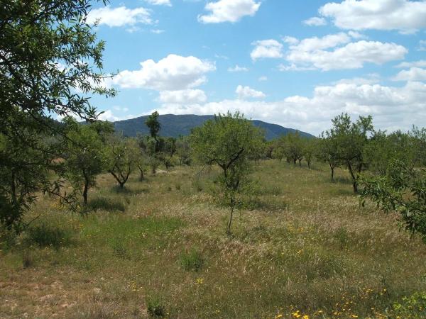 Casa independiente en poligono 9