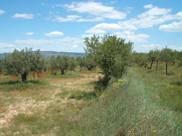 Casa independiente en poligono 9