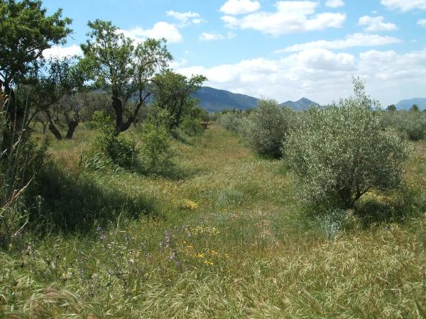 Casa independiente en poligono 9