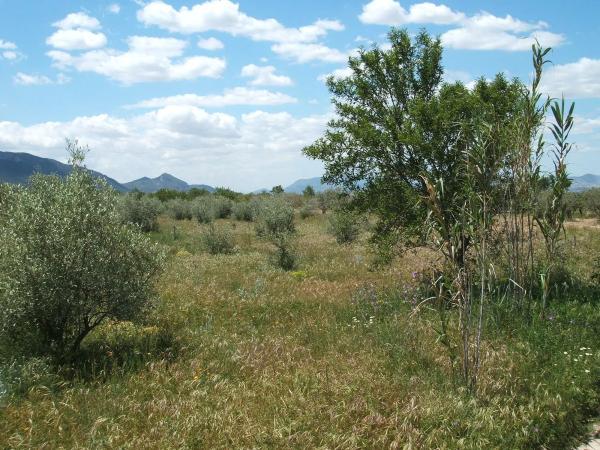 Casa independiente en poligono 9