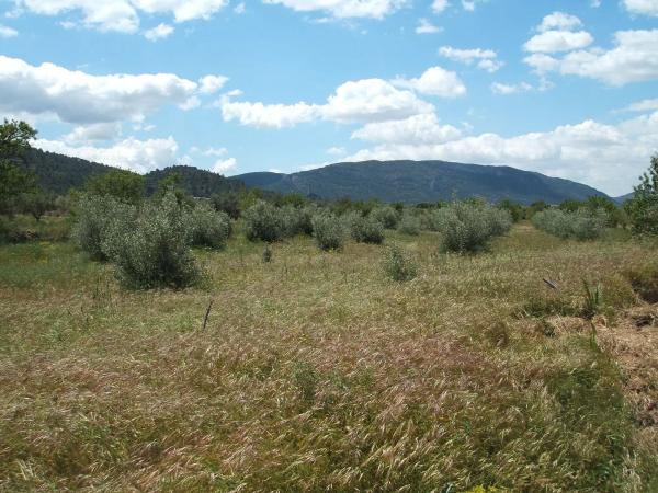 Casa independiente en poligono 9