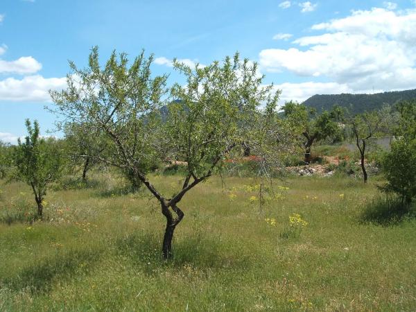 Casa independiente en poligono 9