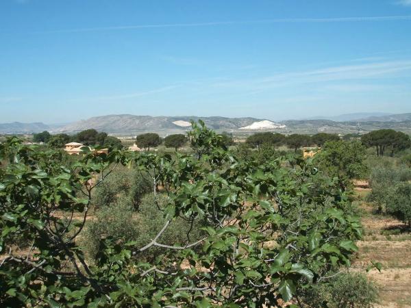 Casa independiente en poligono 9