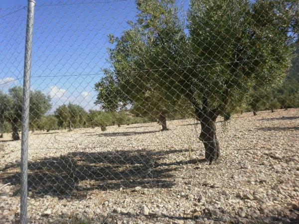 Casa independiente en pol. 21 parc. 493 carr.biar-bañeres s/n