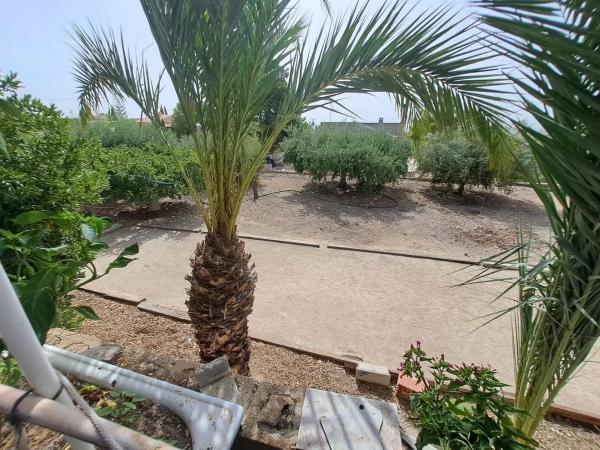 Casa independiente en Partida Las Lomas